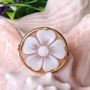 Anello cammeo conchiglia sardonica e argento 925 placcato oro, gioielli italiani