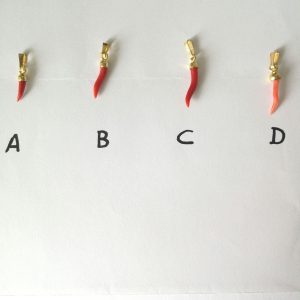 Rametto corallo rosso mediterraneo. Cornetto rosso portafortuna.Rametto cornetto rosa riflesso bianco.