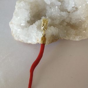 Rametto corallo rosso mediterraneo. Cornetto rosso portafortuna.Corallo vero.